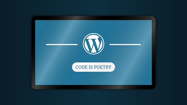 Read more about the article WordPress Store Builder Theme
