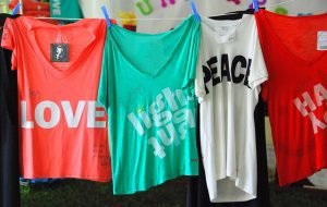 Read more about the article WordPress T-Shirt Store Theme